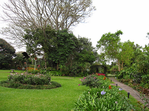 Hotel Bougainvillea Garden